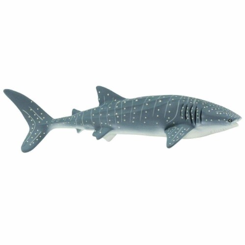Whale Shark Toy Perspective: back