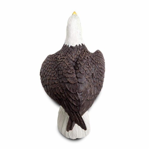 Bald Eagle Perspective: back