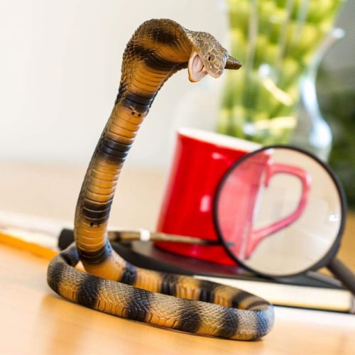Cobra Perspective: back