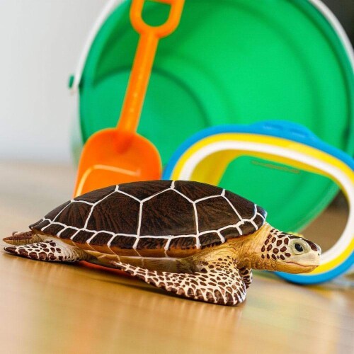 Sea Turtle Perspective: back