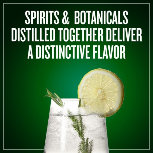 Burnett's London Dry Gin Perspective: back