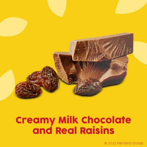 Raisinets Milk-Chocolate-Covered California Raisins, 3.1 oz, Movie Theater Candy Box Perspective: back