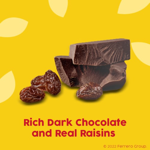 Raisinets Dark Chocolate Covered Raisins Perspective: back