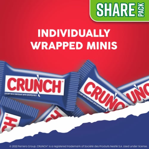 CRUNCH Minis Milk Chocolate & Crisped Rice Stand-Up Bag, Perfectly Sized for Snacking and Sharing Perspective: back