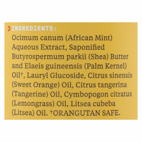 Alaffia Tangerine Citrus African Black Soap Perspective: back