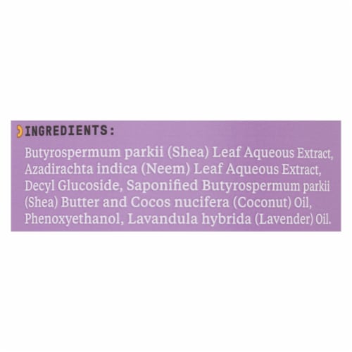 Alaffia Everyday Shea Lavender Foaming Hand Soap Perspective: back