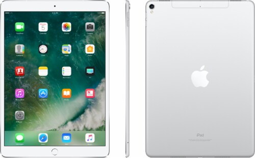 Apple iPad Pro 512 GB Tablet - Silver Perspective: back