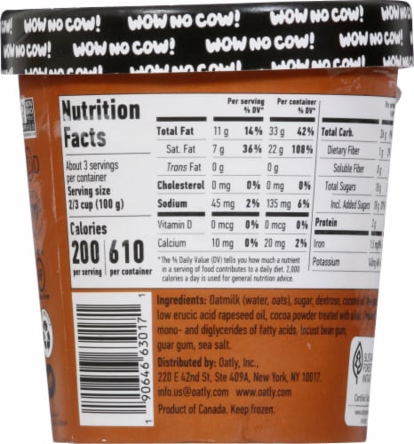 Oatly Dairy Free Chocolate Frozen Dessert Pint Perspective: back