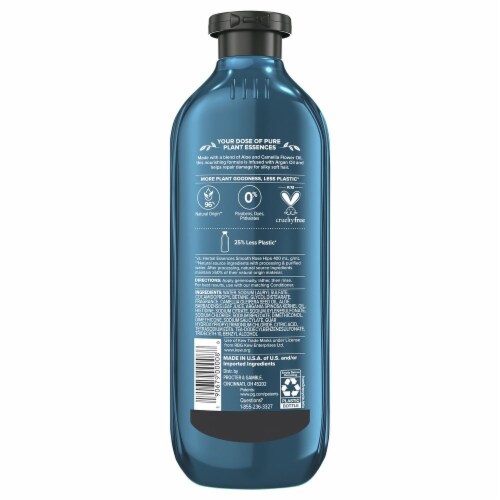 Herbal Essences bio:renew Argan Oil Of Morocco Repairing Color-Safe Shampoo Perspective: back