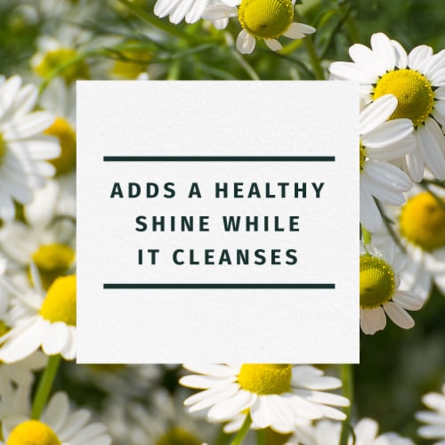 Herbal Essences Shine Collection Chamomile Shampoo Perspective: back