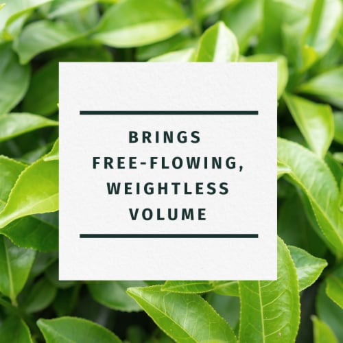Herbal Essences Tea Tree Clarifying Shampoo Perspective: back