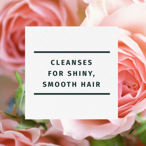 Herbal Essences Classics Smooth Shampoo with Rose Hips Perspective: back