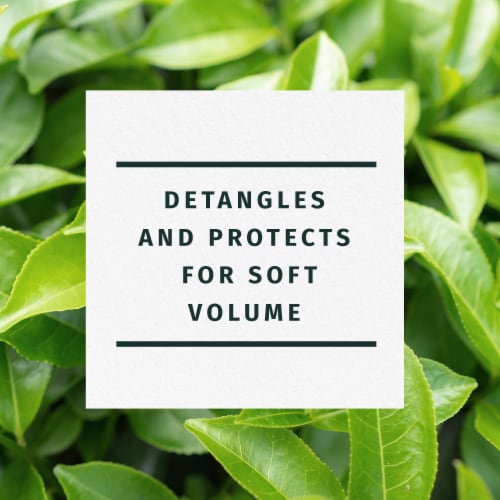 Herbal Essences Classics Clarifying Tea Tree Conditioner Perspective: back