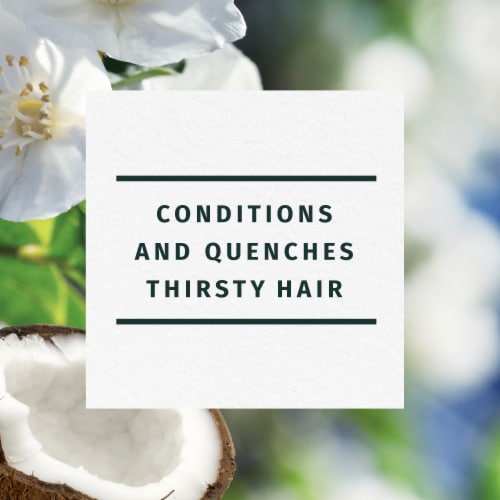 Herbal Essences Classics Hydrate Coconut Water & Jasmine Conditioner Perspective: back