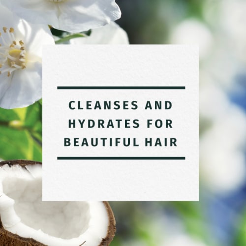 Herbal Essences Classics Hydrate Shampoo with Coconut Water and Jasmine Perspective: back
