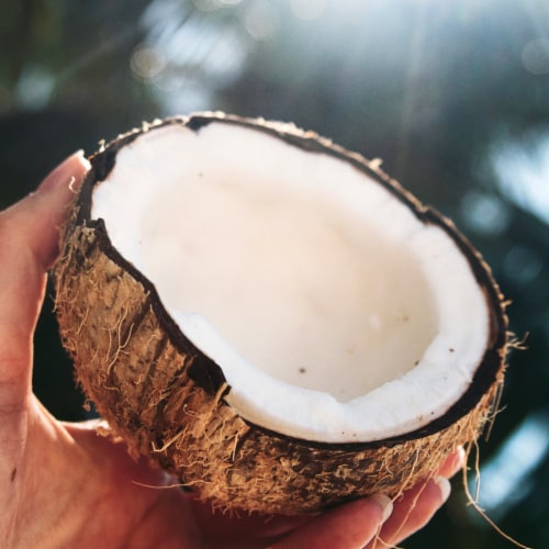 Herbal Essences Classics Coconut Water & Jasmine Conditioner Perspective: back