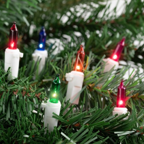 Northlight Set of 20 Multi-Color Mini Christmas Lights 2.5” Spacing - White Wire Perspective: back