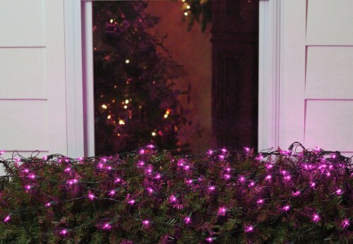 Northlight 4' x 6' Purple Incandescent Mini Net Style Christmas Lights - Green Wire Perspective: back