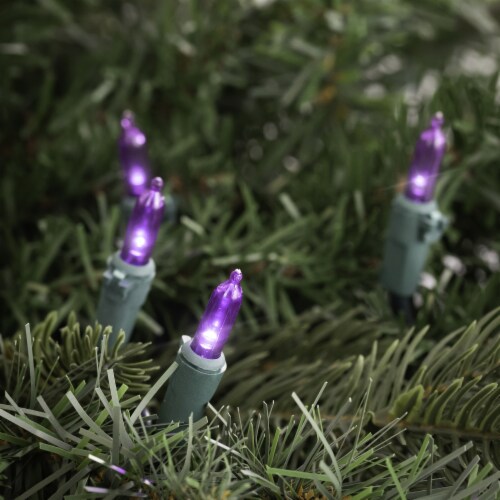 Northlight 100-Count Purple LED Mini Christmas Lights, 33ft Green Wire Perspective: back