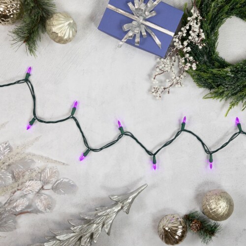 Northlight 50ct Purple LED Mini Christmas Lights, 16.25ft Green Wire Perspective: back