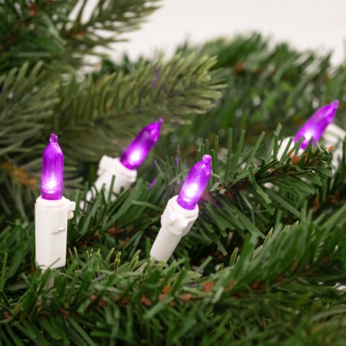 Northlight 50 Purple LED Mini Christmas Lights - 16.25 ft White Wire Perspective: back