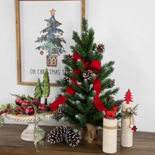 Northlight 24  Frosted Norway Pine with Pine Cones Medium Artificial Christmas Tree - Unlit Perspective: back