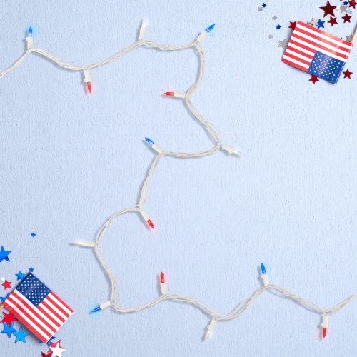 Northlight 100-Count Red, White and Blue LED Americana Mini Lights, 32.75ft White Wire Perspective: back