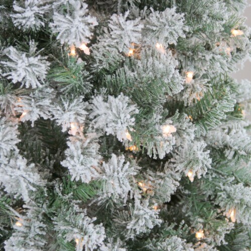 Northlight 4.5' Pre-Lit Medium Flocked Winema Pine Artificial Christmas Tree - Clear Lights Perspective: back