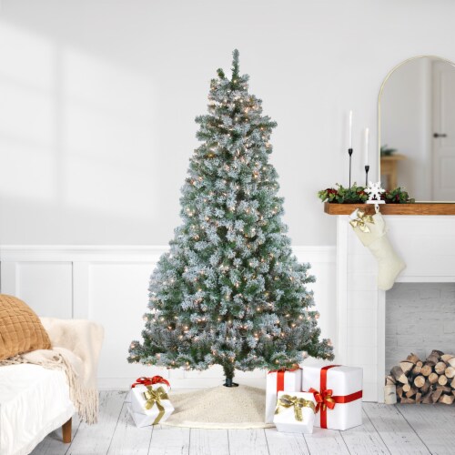 Northlight 6.5' Pre-Lit Medium Flocked Winema Pine Artificial Christmas Tree - Clear Lights Perspective: back
