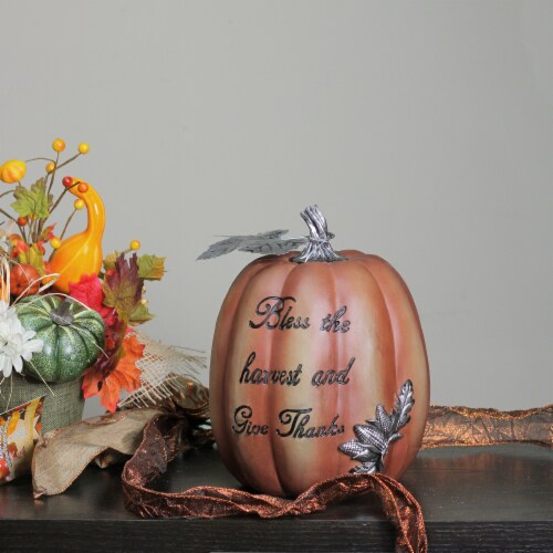 Northlight 10 Orange Bless the Harvest Pumpkin Fall Tabletop Decoration Perspective: back