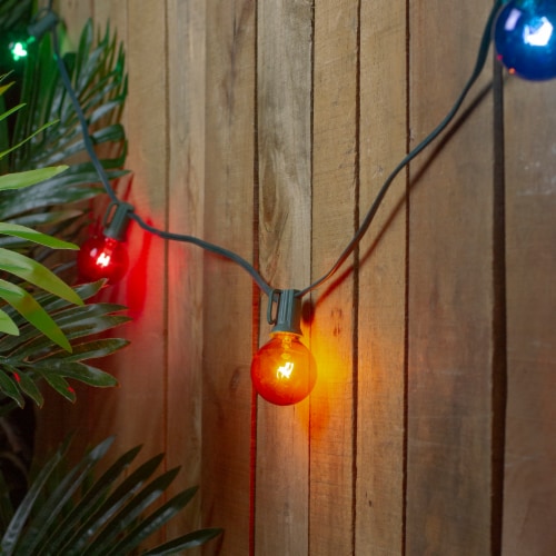 Northlight 10 Multi-Color Transparent G40 Globe Christmas Lights - 9' Green Wire Perspective: back