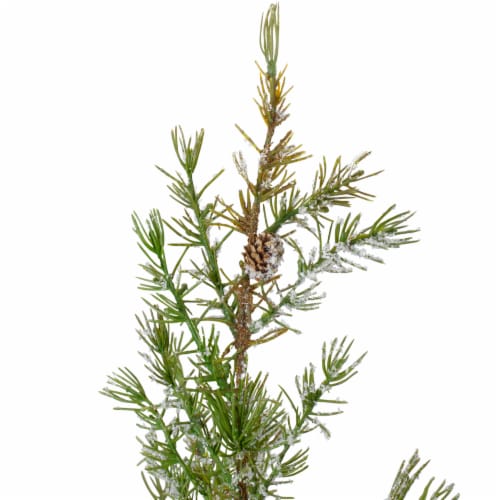 Northlight 28  Potted Frosted Pine Artificial Christmas Tree – Unlit Perspective: back