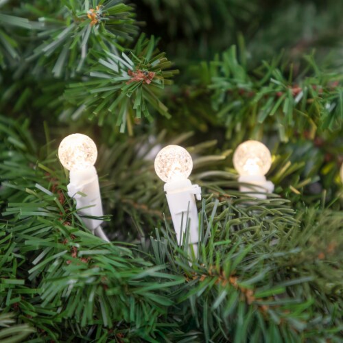 Northlight 50 Count Warm White LED G12 Berry Mini Christmas Lights, 15.9 ft White Wire Perspective: back