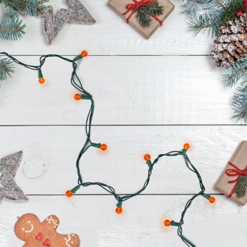 Northlight 50 Count Orange LED G12 Berry Mini Christmas Lights - 15 ft Green Wire Perspective: back