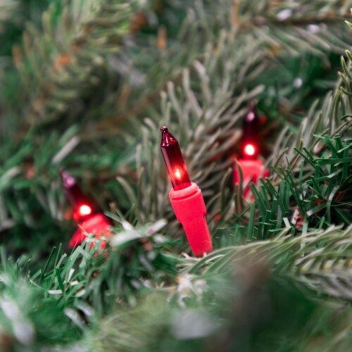Northlight 100 Count Red Mini Christmas Lights, 20 ft Red Wire Perspective: back