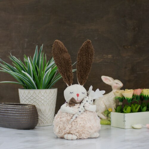 Northlight 14  Beige and Brown Plush Easter Bunny Rabbit Holding a Carrot Spring Figure Perspective: back