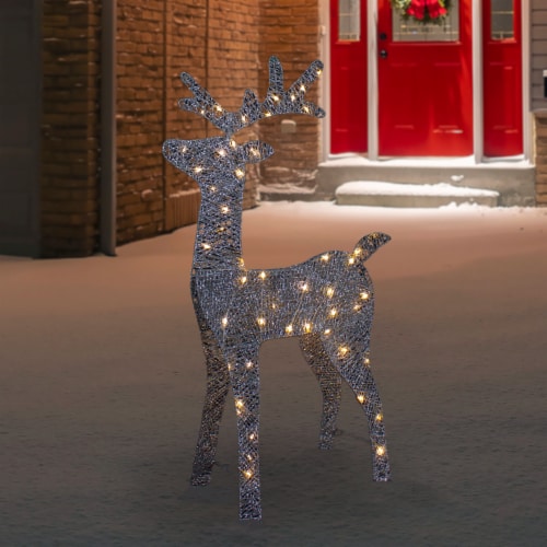 Reindeer christmas on sale lights outdoor