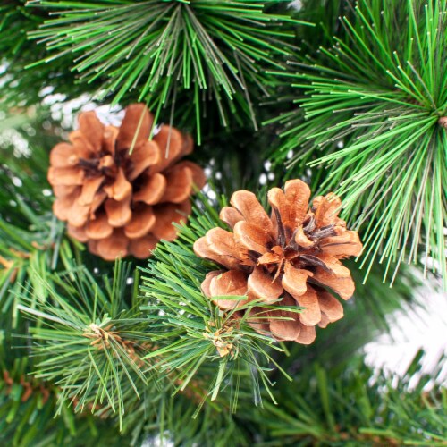 Northlight 39  Mixed Pine and Pine Cones Artificial Christmas Tree in Jute Base Perspective: back