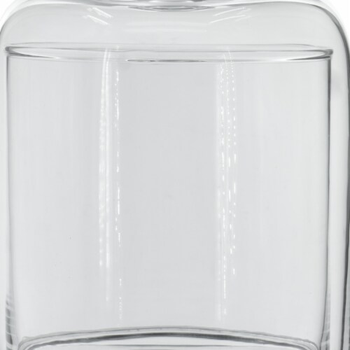 Set of 2 Large Glass Serving Platters with Dome and Finial Handle, Clear- Saltoro Sherpi Perspective: back