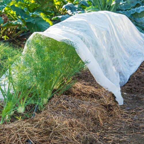 Gardens Alive! Large Super Lite Insect Barrier Perspective: back