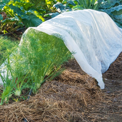 Gardens Alive! Large Super Lite Insect Barrier Perspective: back