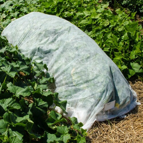 Gardens Alive! Super Lite Small Insect Barrier Perspective: back