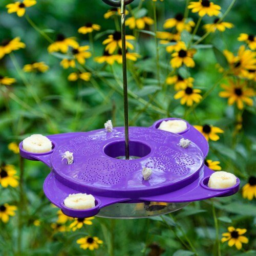 Gardens Alive! Purple Hanging Butterfly Feeder Perspective: back