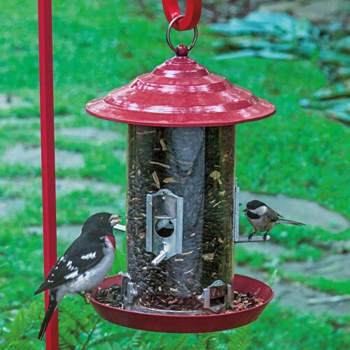 Gardens Alive! Raspberry Red Colored Backyard Bird Feeder Perspective: back