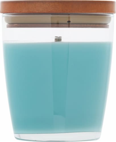 WoodWick® Nature's Wick® Coastal Air Jar Candle Perspective: back