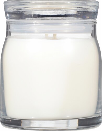 Yankee Candle® 2 Wick Signature Collection Candle Coconut Beach Perspective: back