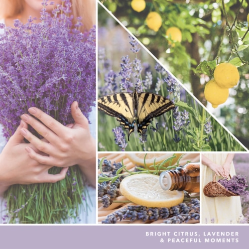 Yankee Candle® Pillar Jar Candle Lemon Lavender Perspective: back