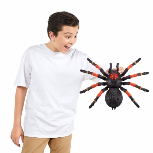 Zuru robo deals alive spider
