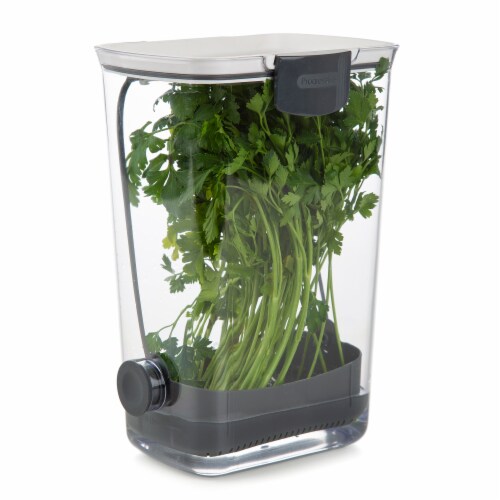 Progressive International Plastic ProKeeper Herb Keeper, 1 Piece, White (2 Pack) Perspective: back