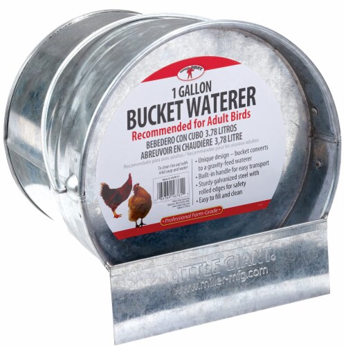 Little Giant 1-Gallon Steel Poultry Bucket Waterer w/ Built-In Handle (2 Pack) Perspective: back